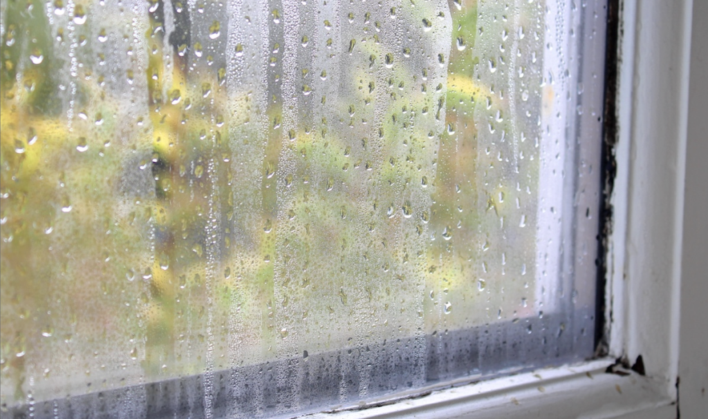 Condensation on indoor windows? A simple household item may reduce the problem